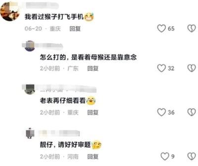 社交媒体评论区截图，展示了关于“猴子打飞手机”话题的幽默对话。第一条评论称“我看过猴子打飞手机😂”，随后其他用户以调侃方式回应，如“怎么打的，是看着母猴还是靠意念”“老表再仔细看看🤣”“靓仔，请好好审题🤪”，形成轻松搞笑的互动氛围。每条评论均显示发布时间、地点及点赞数。