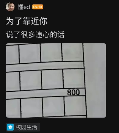 社交媒体截图，顶部显示用户头像、用户名“懂ed”及等级“Lv.13”。主文字内容为“为了靠近你 说了很多违心的话”，表达了为接近某人而说违心话的情感。下方嵌入一张网格状图片，右下角标有数字“800”，可能代表分数或某种计数。底部有“校园生活”标签，暗示内容与校园场景相关。整体为图文混排形式，风格偏向情感表达与校园话题。