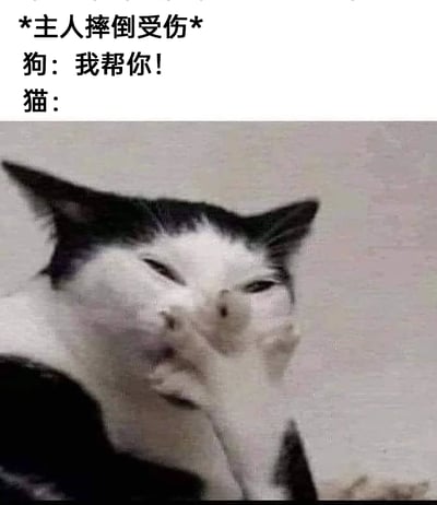 这是一张搞笑对比梗图，上方文字设定场景为「主人摔倒受伤」，其中狗狗的反应是主动表示「我帮你！」，展现出热情贴心的态度；而猫咪的反应则由图片里的黑白猫呈现，它眯着眼睛，将爪子放在嘴边，一脸幸灾乐祸、看热闹的表情。这张图通过猫狗对待主人受伤时的鲜明态度对比，调侃了猫咪高冷、事不关己的典型性格，制造出强烈的幽默反差效果。