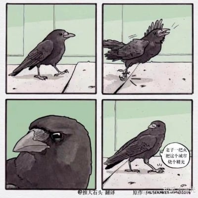 这是一套四格拟人化卡通连环漫画，讲述了一只乌鸦的情绪变化：第一格中，乌鸦正常行走在台阶边缘；第二格乌鸦踩空，身体失去平衡，羽毛炸起，显得十分狼狈；第三格是乌鸦的面部特写，它眼神变得凶狠，表情充满愤怒；第四格乌鸦站稳后，放出夸张的狠话：“老子一把火把这个城市烧个精光”。漫画通过将日常小意外引发的负面情绪极端化，用动物拟人的方式制造出强烈的反差搞笑效果，把人类在遇到小挫折时的暴怒情绪用乌鸦的行为和台词放大呈现。