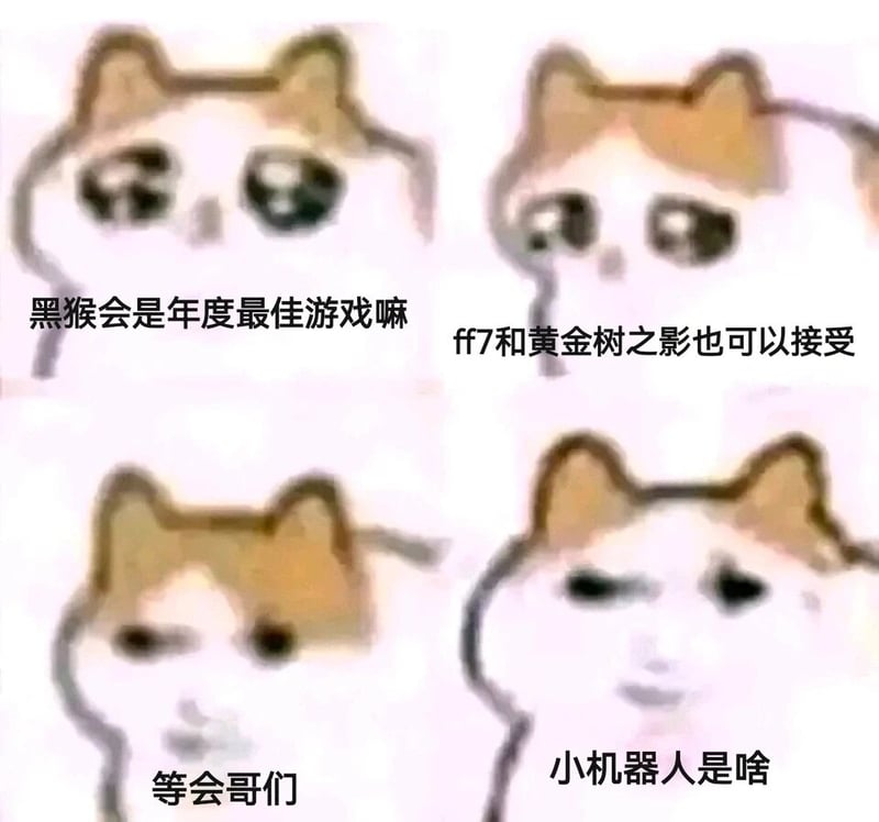 Crying Cat Meme