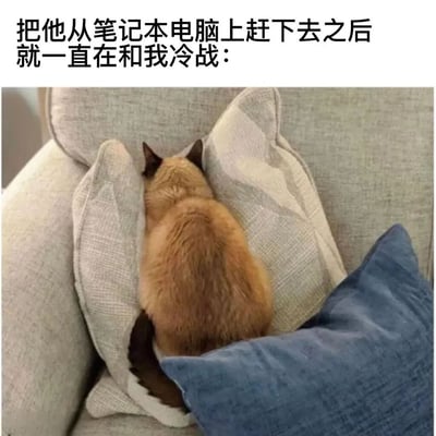 图片上方配有文字“把他从笔记本电脑上赶下去之后就一直在和我冷战：”，下方是一只棕色猫咪蜷缩在沙发的浅色抱枕之间，背对着镜头，身体紧紧靠在抱枕上，似乎在闹别扭，生动展现了宠物被打扰后的“冷战”状态，充满生活趣味。