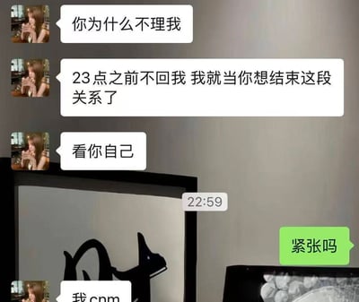 这是一张社交软件聊天记录截图，左侧女方账号连续发送三条消息：首先质问对方为什么不理自己，随后放出最后通牒称23点之前不回复就默认对方想要结束情侣关系，最后补充一句“看你自己”。之后聊天界面出现22:59的时间戳，男方刚好赶在最后期限前发送了一句“紧张吗”玩梗挑衅女方，女方随后回复脏话表达愤怒。截图背景还露出了带有黑色动物剪影的装饰画以及装着球状物体的容器，整体内容充满搞笑反差感。