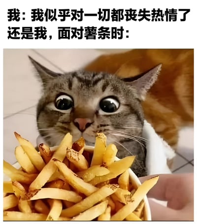 这张梗图通过文字与图片的反差制造幽默效果。上方文字写着"我：我似乎对一切都丧失热情了 还是我，面对薯条时："，下方是一只眼睛瞪得溜圆的猫，正专注地盯着面前的一碗薯条，表情充满惊喜和期待。这种对生活失去热情却对美食瞬间恢复兴趣的对比，生动展现了人们面对美食时的真实反应。