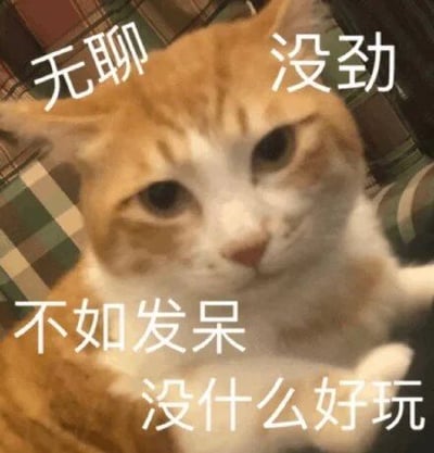 一只橘白相间的猫咪慵懒地躺卧在格子图案的背景上，眼神淡漠，表情无精打采。图片上方和下方覆盖着白色文字：“无聊 没劲 不如发呆 没什么好玩”，精准传达出猫咪（或借猫咪表达的人）对现状感到乏味、提不起兴趣的摆烂情绪。整体画面轻松幽默，适合用来表达日常的无聊与慵懒状态。