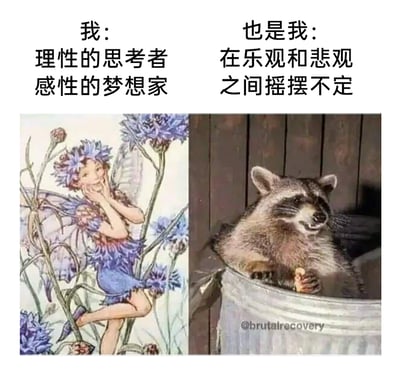 这是一张左右对比的图文混排创作图，左侧是画风柔美梦幻的花仙子插画，搭配文字“我：理性的思考者 感性的梦想家”，塑造出人们心中理想的、兼具理性思维与浪漫感性的自我形象；右侧是一只神态倦怠、趴在金属桶里的浣熊，搭配文字“也是我：在乐观和悲观之间摇摆不定”，展现出真实生活中人们在情绪里反复拉扯、纠结的状态。整幅图通过理想与现实的强烈反差，精准戳中人们在自我认知中的矛盾感，极易引发共鸣。
