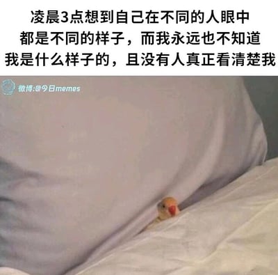 这是一张顶配底文类静态梗图，上方配有一段深夜自我感慨的文字：“凌晨3点想到自己在不同的人眼中都是不同的样子，而我永远也不知道我是什么样子的，且没有人真正看清楚我”，精准描绘了深夜时分人们容易陷入的自我认知迷茫、觉得不被他人真正理解的孤独情绪；下方是一张实拍图，一只鹦鹉只露出小部分头部，躲在枕头与被子的缝隙中，怯懦又隐秘的状态与文字传达的孤独、不被看透的情绪高度契合，能引发观者的情绪共鸣，尤其戳中那些曾在深夜陷入自我怀疑的人群。