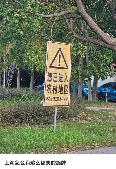 这张实拍图展示了一个设置在户外草地中的警示样式路牌，路牌上方是感叹号警示标识，主文字为“您已进入农村地区”，下方小字标注“正在进行美丽乡村建设”。图片底部配文“上海怎么有这么搞笑的路牌”，由于上海给大众的普遍印象是繁华都市，这类路牌与城市形象形成强烈反差，因此显得格外滑稽，引发网友调侃。