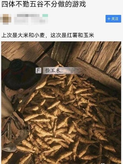 这是一张吐槽游戏中农作物识别错误的社交媒体截图。图中上方文字写道“四体不勤五谷不分做的游戏”以及“上次是大米和小麦，这次是红薯和玉米”，下方是游戏场景截图：一名角色正在捡拾大量形似红薯的根茎类作物，但游戏UI却标注“F 捡玉米”，形成明显的作物误认笑点。图片通过对比游戏内错误的作物标签与实际作物形态，讽刺部分游戏开发者缺乏基础农业知识，出现“玉米被画成红薯”这类常识性错误。