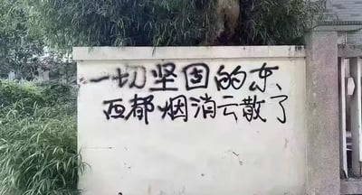 这是一张户外原始拍摄的静态照片，画面主体是一面米白色的水泥墙面，墙面左侧和顶部生长着茂密的绿色杂草与灌木，墙面右侧连接着粗糙的水泥立柱。墙面上用黑色涂料喷涂着两行手写风格的标语，内容为“一切坚固的东西都烟消云散了”，字体随意且带有涂鸦的粗糙质感，墙面本身存在多处磨损、掉漆和污渍痕迹，整体场景给人一种略带沧桑、怅然的氛围，传递出对稳固事物消逝的感慨情绪。