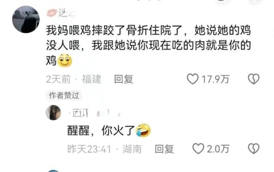 社交媒体截图展示两条热门评论互动。福建用户两天前发帖称：“我妈喂鸡摔跤了骨折住院了，她说她的鸡没人喂，我跟她说你现在吃的肉就是你的鸡😃”，获17.9万点赞并被作者本人点赞。湖南用户昨天23:41回复：“醒醒，你火了😂”，获2.0万点赞。两条评论均带有表情符号，展现了生活趣事引发的幽默互动。