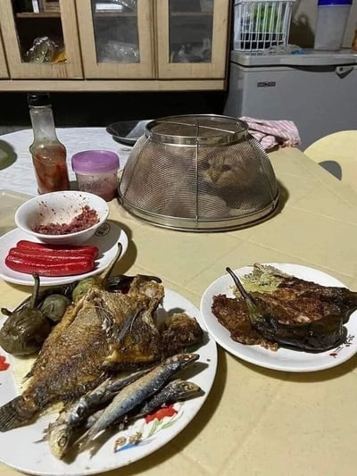 这张图片展示了一张家庭餐桌上的家常菜摆设。桌子上摆放着多个菜肴：一个盘子里有几条炸鱼和小鱼干，旁边是一盘烤茄子配辣椒，还有一盘红色的香肠。桌子上还有一些调味品，包括一个玻璃瓶和一个塑料容器，以及一个金属网状的食物罩。背景中可以看到厨房的木质橱柜和灰色冰箱，营造出温馨的家庭烹饪氛围。