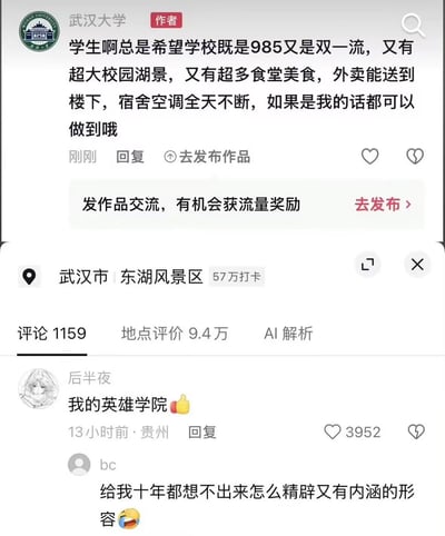 这是一张国内社交平台的评论区截图，顶部是认证为武汉大学的官方账号发布的评论，称学生期望的985/双一流身份、超大校园湖景、丰富食堂美食、外卖可配送至楼下、宿舍全天供应空调这些条件，武汉大学都能满足；下方定位显示为武汉市东湖风景区，有网友回复“我的英雄学院”玩梗夸赞武汉大学是符合所有期待的理想院校，另有其他网友夸赞这条回复十分精妙有内涵。