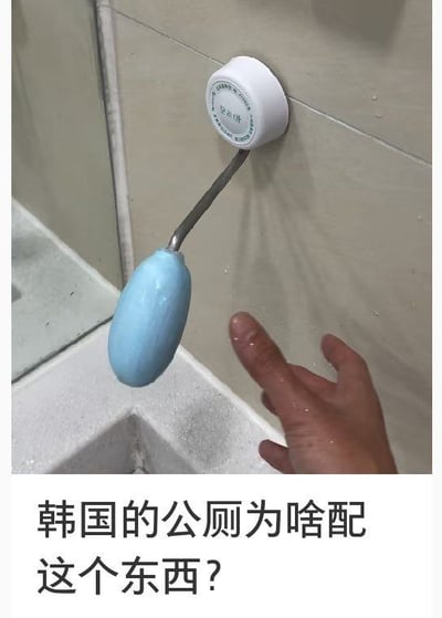 图片展示了韩国公厕的洗手台区域，米色瓷砖墙上安装着一个白色圆形底座的装置，底座连接金属杆，末端是蓝色椭圆形物体。一只沾有水渍的手正指向该装置，下方配有文字'韩国的公厕为啥配这个东西?'。场景中可见洗手台边缘和部分镜子，水面有反光，整体环境湿润，推测刚使用过。该装置实际是韩国公共厕所常见的马桶清洁刷或卫生消毒工具，用于保持公共卫生间清洁。