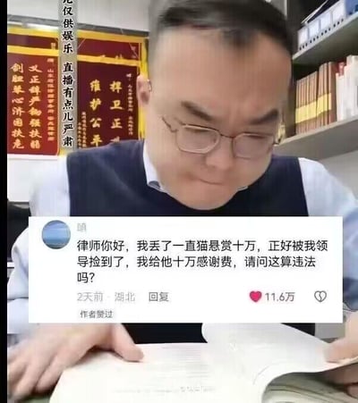 图片中是一位戴着眼镜的男性律师正在办公室阅读书籍，背景中有书架和红色锦旗。画面下方叠加了一条网友提问："律师你好，我丢了一直猫悬赏十万，正好被我领导捡到了，我给他十万感谢费，请问这算违法吗？"，该提问显示有11.6万点赞。