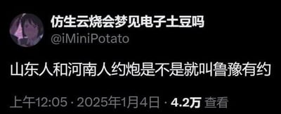 这是一张X平台（原推特）的社交媒体截图，用户「仿生云烧会梦见电子土豆吗」发布了一条玩低俗谐音梗的内容，将山东（简称鲁）和河南（简称豫）的低俗约会调侃说法，谐音成知名访谈节目《鲁豫有约》，以此制造反差搞笑效果。
谐音梗说明：取山东简称「鲁」、河南简称「豫」，将「约炮」谐音关联成节目名称「鲁豫有约」，是结合地域简称与知名IP的低俗玩梗。