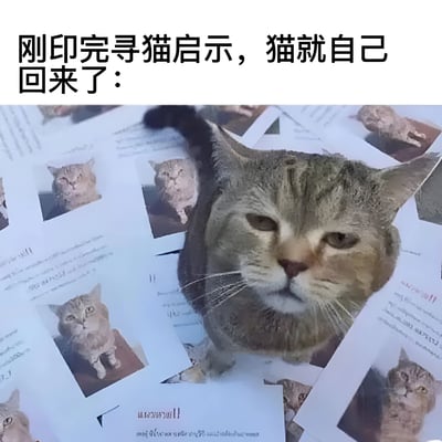图片上方有文字“刚印完寻猫启示，猫就自己回来了：”，下方是一只表情冷漠的橘猫躺在一堆寻猫启示上，形成一种幽默的对比效果。猫咪的表情和它身下的寻猫启示形成鲜明反差，让人哭笑不得。