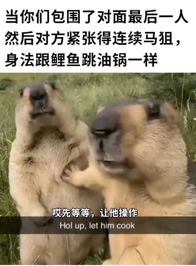 这张梗图描绘了游戏中玩家包围最后一名敌人的场景，敌人因紧张而连续使用‘马狙’，身法如同鲤鱼跳油锅般慌乱。图中两只土拨鼠的互动配合字幕‘哎先等等，让他操作’（对应英文‘Hol up, let him cook’），幽默地表现出玩家们围观敌人垂死挣扎的有趣瞬间。