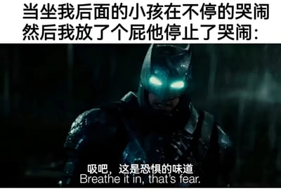 这张梗图上方配有文字“当坐我后面的小孩在不停的哭闹然后我放了个屁他停止了哭闹:”，下方是电影《新蝙蝠侠》的截图，蝙蝠侠穿着标志性的黑色战衣，双眼发出蓝色光芒，表情冷峻。图片底部配有文字“吸吧，这是恐惧的味道”及英文翻译“Breathe it in, that's fear.”。

图片通过将蝙蝠侠原本严肃的“恐惧”台词与放屁止哭的荒诞场景结合，形成强烈的幽默反差。