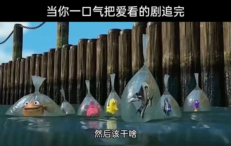 《鲨鱼黑帮》