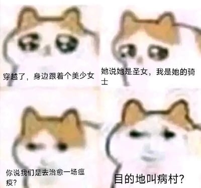 这是一张采用悲伤猫猫头Meme模板制作的四格连环图文混排表情包，通过四格内容的递进，讲述了一个充满反差感的搞笑剧情：主角穿越后，身边跟着一位美少女，对方自称圣女，主角以为自己开启了和圣女一同治愈瘟疫、拯救世界的热血冒险，然而当得知目的地是游戏《艾尔登法环》中的“病村”时，期待瞬间落空。四格中的猫猫表情也随之变化，从最初的懵懂期待，到疑惑，最后变成无语的神态，完美呼应了主角从满怀憧憬到心态崩塌的情绪转变。病村是《艾尔登法环》中一个环境极度恶劣、充满瘟疫与危险的区域，和“治愈瘟疫”的热血设定形成强烈反差，从而制造出幽默效果。