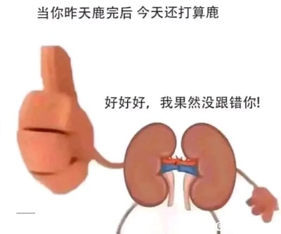 这是一张图文混排的搞笑静态梗图，图中是被拟人化的肾脏形象，它的一只手臂变成了竖起的大拇指。图中包含两处文字配文，顶部文字为“当你昨天鹿完后 今天还打算鹿”，其中“鹿”是谐音梗，谐音“撸”，暗指过度手淫的伤肾行为；肾脏旁的配文是“好好好，我果然没跟错你！”，用反讽的方式制造笑点——明明这类行为会对肾脏造成伤害，却用肾脏点赞认可的反差感，调侃那些不节制、不爱护自身肾脏健康的行为，整体风格幽默戏谑。