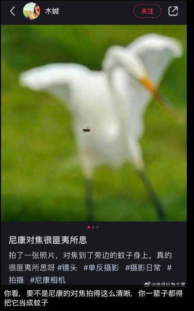 社交媒体用户分享的搞笑摄影失误：本想拍摄白鹭，相机却意外将焦点对准了前景的蚊子，形成强烈反差萌。图片上方是用户头像和名称，中间是对焦失误的照片，下方是吐槽文字和网友评论。