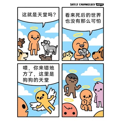 这是一幅四格搞笑漫画：第一格，带着光环的橙色卡通小人被一群狗狗围绕，他一脸开心地发问“这就是天堂吗？”；第二格，他抱着其中一只灰色狗狗，满脸愉悦地感慨“看来死后的世界也没有那么可怕”；第三格，一个长着白色翅膀的黄色天使角色飞过来，着急地对他说“喂，你来错地方了，这里是狗狗的天堂”；第四格，橙色小人被带到了人类的天堂，他蹲在地上，双手撑着脸，一脸失落难过，周围是其他带着光环的彩色卡通小人，和前两格的快乐氛围形成强烈反差，通过这种场景错位制造出反转的搞笑效果，同时也带有一点扎心的趣味感。