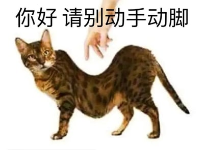图片中是一只身体弯曲的猫，表情警惕地看着前方伸出的手，上方配有文字“你好 请别动手动脚”。整体场景幽默地表现了猫拒绝被触摸的姿态，通过拟人化的文字传达出不愿被动手动脚的诉求，常用于社交媒体中调侃拒绝不必要的肢体接触。
