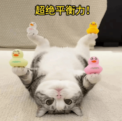 一只灰白相间的猫咪仰卧在浅色地毯上，四爪分别稳稳举起一只不同颜色的橡胶鸭（黄色、白色、粉色、黄色），头部朝上，眼睛圆睁，表情呆萌。图片上方有黄色醒目文字“超绝平衡力！”，整体画面展现了猫咪令人惊叹的平衡能力和可爱姿态，充满趣味性和治愈感。