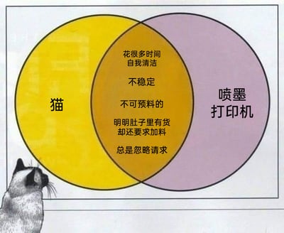 这是一张以维恩图形式呈现的趣味对比梗图，左侧黄色圆圈标注“猫”，右侧紫色圆圈标注“喷墨打印机”，两个圆圈的重叠区域列出了两者的共通槽点：花很多时间自我清洁、不稳定、不可预料的、明明肚子里有货却还要求加料、总是忽略请求。图片左下角配有一只抬头注视维恩图的暹罗猫照片，将猫咪的日常习性和喷墨打印机使用时的常见糟心故障结合，用幽默的方式引发养猫人士和打印机使用者的共鸣，吐槽生活中这些让人无奈的场景。