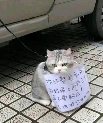 这是一张静态实拍图，画面主体是一只灰白相间的猫咪，它蹲坐在带有方格纹理的地砖上，身后停着一辆浅色的汽车。猫咪的脖子上被挂了一张手写的白纸，纸上写着“你好警察叔叔 我妈妈上厕所去了 请不要贴条！（她拉很快的!!!）”，猫咪的表情看起来委屈又无奈，眼神带着一丝可怜。这是车主为了避免临时停车被贴条想出的趣味办法，用猫咪“求情”的方式，充满了生活化的幽默感，让人觉得既有趣又暖心。