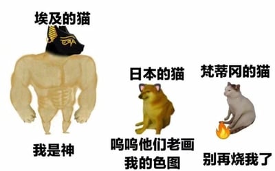 这是一张多图拼接的搞笑梗图，通过夸张对比展现三个国家的猫形象。左侧是“埃及的猫”，有着极其健硕的肌肉身材，头戴古埃及法老的黑色黄金眼纹头饰，下方配文“我是神”，调侃埃及猫在古埃及被奉为神明的文化背景；中间是“日本的猫”，实际是一只黄色柴犬（可能是故意用狗调侃），配文“呜呜他们老画我的色图”，幽默指代日本动漫文化中对猫形象的拟人化创作；右侧是“梵蒂冈的猫”，一只白色猫咪旁有火焰图案，配文“别再烧我了”，结合梵蒂冈宗教背景玩梗。整体通过文化刻板印象的夸张演绎制造笑点。