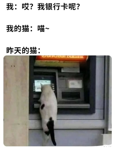 图片上方是三段文字对话，分别是“我：哎？我银行卡呢？”、“我的猫：喵~”、“昨天的猫：”，下方配图是一只白猫正趴在ATM机上，前爪似乎在操作屏幕，幽默地暗示银行卡不见可能是猫拿去“使用”了。