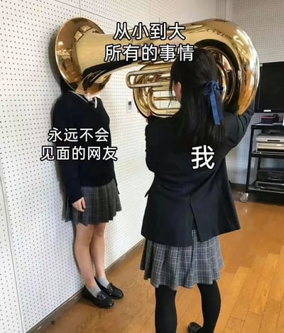 图片中展示了两位身着深色校服的女高中生，背景是带有孔洞的隔音墙房间。右侧女生扎着蓝色蝴蝶结马尾，正手持一个巨大的黄铜色铜管乐器（疑似大号或圆号），乐器的喇叭口部分完全罩住了左侧靠墙站立女生的头部。图片上方配有文字“从小到大所有的事情”，左侧女生旁标注“永远不会见面的网友”，右侧女生旁标注“我”。通过视觉隐喻，用巨大的乐器象征向网友倾诉的海量心事，而“永远不会见面的网友”则以头部被遮挡的形象强化了网络交往中“未见其人”的特点，整体营造出幽默调侃网络友谊的氛围。