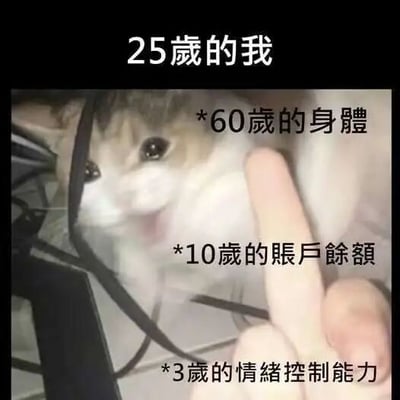 这是一张文字加注类静态图，画面主体是一只表情激动、嘴巴大张的猫咪，猫咪被线缆部分遮挡，旁边有一根人类手指指向画面，搭配四段自嘲式文字：“25岁的我”“60岁的身体”“10岁的账户余额”“3岁的情绪控制能力”。图片用幽默夸张的反差感，描绘了当代部分25岁年轻人的生存困境：年龄正值青年，却因生活压力、过度劳累导致身体状态早衰；经济收入微薄，账户余额少得像孩童时期；情绪管理能力差，容易像小孩一样失控。猫咪激动的表情和指向的手指，进一步强化了情绪失控的状态，精准戳中年轻人的焦虑，引发强烈共鸣。