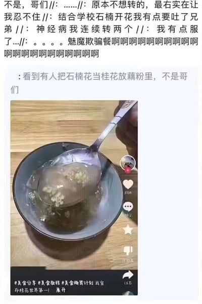 图片为社交媒体截图，上方是网友一连串崩溃吐槽：“结合学校石楠开花我有点要吐了兄弟”“魅魔欺骗餐啊啊啊……”，下方是一条帖子：“看到有人把石楠花当桂花放藕粉里，不是哥们”，并配一张藕粉中漂浮着白色小花的图片（疑似误将有异味的石楠花当作桂花添加）。整体展现了网友对这一迷惑行为的震惊与调侃。