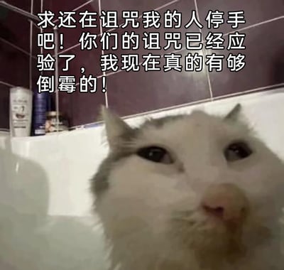 这是一张网友二次创作的静态表情包，画面主体是一只待在白色浴缸里的白灰相间猫咪，它眼睛半睁，神态委屈又无奈，仿佛正经历着诸多不顺。图片上方配有自嘲式的吐槽文字：“求还在诅咒我的人停手吧！你们的诅咒已经应验了，我现在真的有够倒霉的！”，将猫咪的低落神态与文字内容完美结合，生动地传递出遭遇一连串倒霉事后的郁闷、委屈情绪，适合在社交平台上向朋友倾诉自己的不顺心，抒发低落的心情。