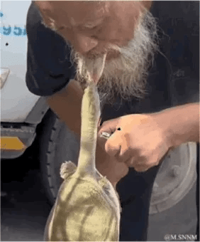 图中是一位留着白色胡须的老年男性，他手持打火机，嘴部位置刚好和抬起头的乌龟头部重合，形成了强烈的视觉错位效果，看起来仿佛老年男性在亲吻乌龟，或是乌龟的头部和老人的嘴部连为一体，制造出荒诞又搞笑的画面，没有双关或谐音梗，完全是视觉错觉带来的趣味。