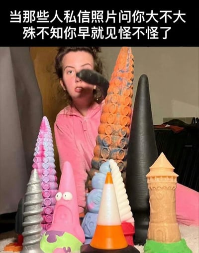 图片展示了一位身穿粉色卫衣的女性，她周围环绕着多个大小不一、形状各异的锥形物体，包括彩色螺旋状、黑色尖顶状和橙色环状等造型奇特的物品。图片上方配有文字：'当那些人私信照片问你大不大 殊不知你早就见怪不怪了'。

该梗图通过双关语制造幽默效果，将网络上常见的低俗私信文化与画面中实际的大型物体形成对比，表达了对这类骚扰信息的淡定和不屑态度。