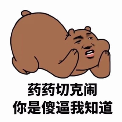 一张卡通风格的梗图，画面主体是一只棕色的卡通熊，它趴在地上，双手托着腮帮子，面部表情看起来无奈又带点嘲讽。图片下方有两行黑色文字："药药切克闹 你是傻逼我知道"。其中"药药切克闹"是对英文"Check it out"的音译化表达，常见于中文网络流行语和说唱文化中，这里用于增强调侃语气。