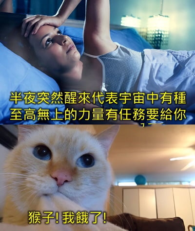 这是一张上下对比的搞笑梗图。上半部分展示一位女性躺在床上，配文暗示半夜醒来是宇宙赋予任务，营造神秘氛围；下半部分是一只睁大眼睛的猫咪，配文‘猴子!我饿了!’，揭示真实原因是宠物饥饿，形成强烈反差，充满幽默感。