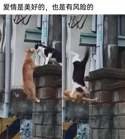 暂无描述