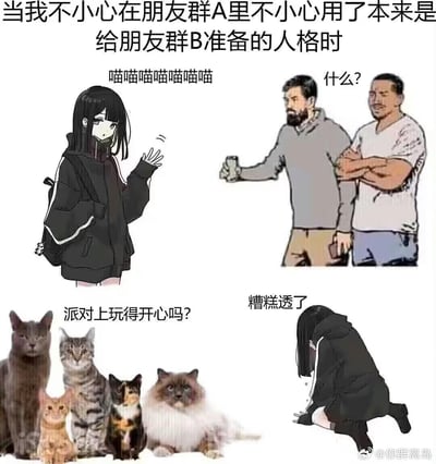 这张梗图以多图拼接的形式，还原了当代人在不同社交群聊切换人设失误的社死瞬间：当用户在朋友群A里不小心使用了给朋友群B准备的软萌喵喵语气后，面对群里朋友疑惑的反应，事后陷入极度尴尬崩溃的状态，还要面对另一个群的关心询问，精准戳中了社交场合中社死的窘迫感。
无谐音梗、双关或暗示内容。