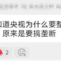 这是一张竖屏手机格式的社交媒体截图，画面为纯文字内容，展示了一段具有争议性的用户发言：“知道央视为什么要整 原来是要搞垄断”，文字下方显示有2个点赞量以及添加表情的按钮，内容是对央视的不当质疑表述，不存在双关、谐音梗等特殊表达。