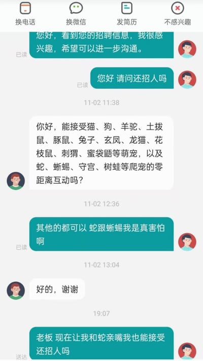 这是一张招聘场景下的聊天记录截图，求职者最初咨询招聘信息，招聘方询问是否能接受包括蛇、蜥蜴等爬宠在内的多种宠物零距离互动，求职者坦诚表示害怕蛇和蜥蜴。后续求职者态度反转，称“现在让我和蛇亲嘴我也能接受”并再次询问是否招人，展现了求职过程中的幽默反差和无奈感。