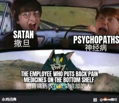 这是一张多图拼接的搞笑meme图，由上下两部分组成。上半部分截取了电影《哈利·波特与密室》中哈利和罗恩驾驶飞天汽车时惊恐大喊的画面，分别为两人配文“SATAN 撒旦”和“PSYCHOPATHS 神经病”；下半部分截取了经典动画《猫和老鼠》里汤姆猫愤怒凶狠的画面，配文“THE EMPLOYEE WHO PUTS BACK PAIN MEDICINES ON THE BOTTOM SHELF 把背痛药放在货架底部的人”。这张图用夸张戏谑的方式吐槽那些将背痛药放置在货架最底层的员工，因为背痛人群大多弯腰困难，这种不合理的摆放会给他们带来极大的不便，通过哈利、罗恩的惊恐表情放大了人们对这种行为的不满，仿佛该行为如同“撒旦”“神经病”般离谱，而汤姆猫的愤怒则精准传递了背痛患者的情绪，整体幽默又贴合生活痛点。