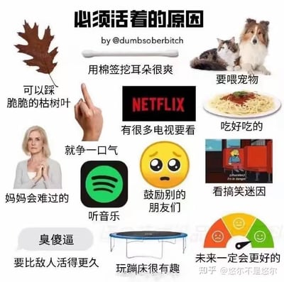 这是一张多图拼接的图文混排梗图，标题为“必须活着的原因”，由@dumbsobitch创作。图中包含13个生活中的小确幸或理由，每个理由都搭配了对应的图片，如踩枯树叶、用棉签挖耳朵、喂宠物、看Netflix、吃美食、妈妈的感受、争一口气、听Spotify音乐、鼓励朋友、看搞笑迷因、比敌人活得久、玩蹦床以及对未来的希望等，整体风格轻松治愈，用日常小事展现生活的意义。