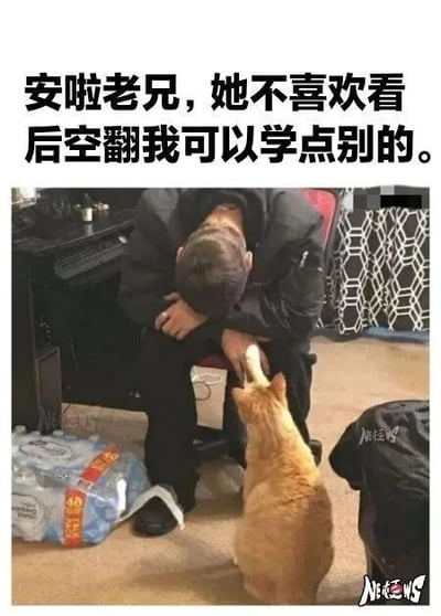 这是一张文字加注的静态单图，画面中一名身着黑色衣物的男子低着头，双臂抱于膝盖上，神情沮丧，看起来情绪十分低落；旁边的橘猫抬起爪子轻轻触碰男子的手，姿态像是在安慰他。图片上方添加了拟人化的文字“安啦老兄，她不喜欢看后空翻我可以学点别的”，将橘猫塑造成在安慰因讨不到心仪之人欢心而失落的男子的角色，用幽默的拟人手法，结合宠物暖心的姿态，营造出既搞笑又治愈的氛围。