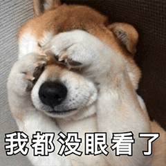 一只柴犬用两只前爪捂住眼睛，表情似乎带着无奈，图片底部配有文字'我都没眼看了'，整体营造出一种因某事尴尬或不忍直视而回避的搞笑氛围。